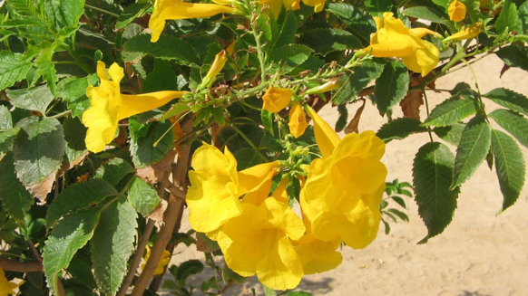 Image02