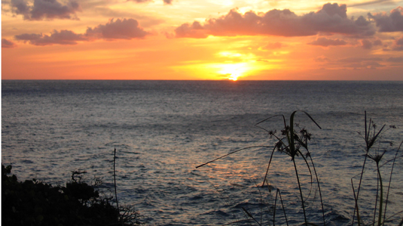 Image02