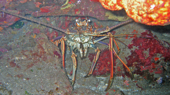 Image03