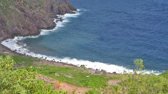 Image15