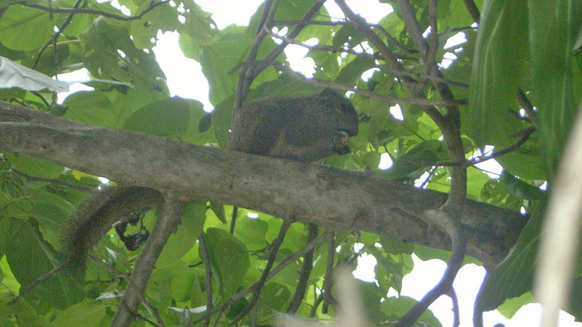 Image12