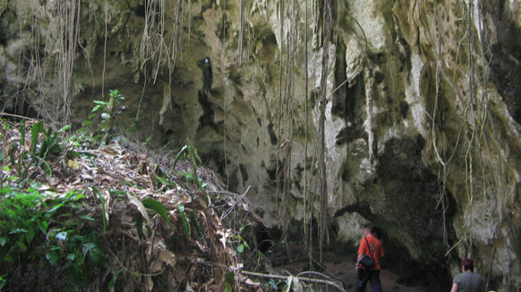 Image13