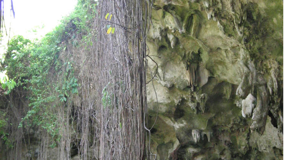 Image15