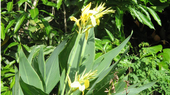 Image03