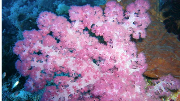 Image01